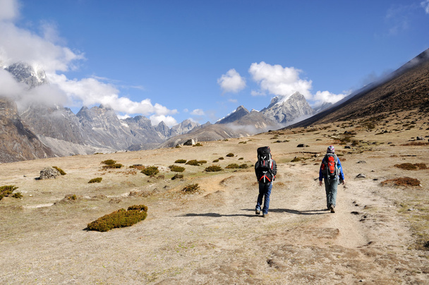 Tracking in Himalayas - Foto, Imagen
