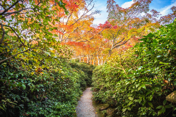 Сад Окочи Сансо, Арашияма, Киото, Япония
 - Фото, изображение