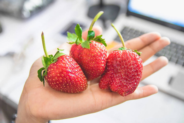Une grosse fraise dans les mains de la jeune fille sur fond de bureau dans une humeur douce. Gros fruit rouge en hiver goût aigre-doux
. - Photo, image