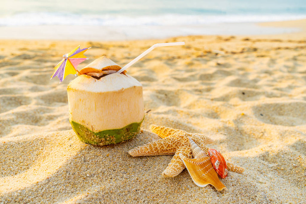 Coco, coquillages et étoiles de mer sur la plage tropicale
 - Photo, image