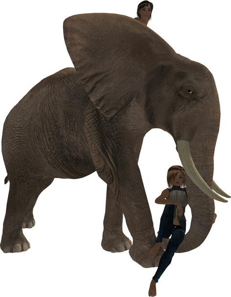 Junge und Mädchen auf einem Elefanten - Foto, Bild