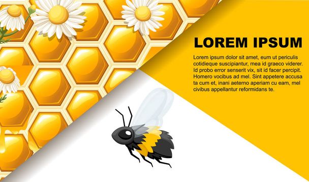 Honingraat met Bee en wit wit Daisy. Website-en mobiele-appontwerp. Platte vector illustratie op witte achtergrond. Plaats voor tekst - Vector, afbeelding