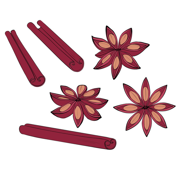 Cinnamon stick and fruit set. Isolated Spices for baking. - Vector, Image