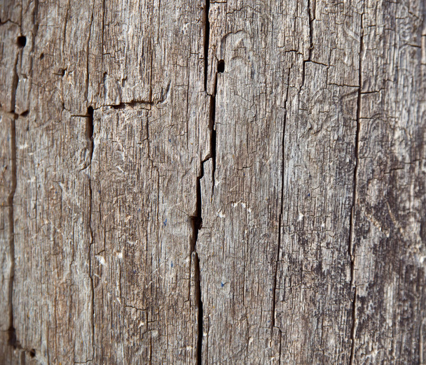 Stare drewno w tle. Tekstury. Deska drewniana - Zdjęcie, obraz