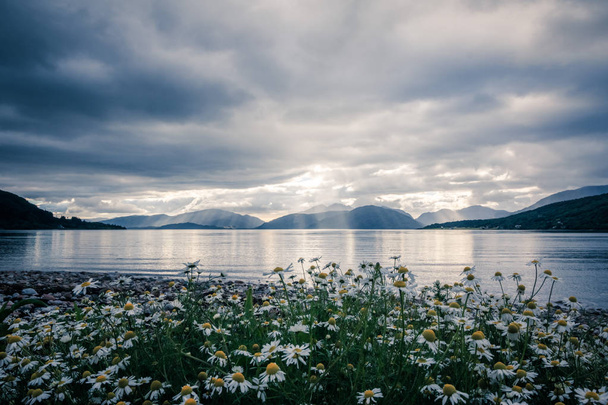 Mystic landscape lake scenery in Scotland: Cloudy sky, flowers a - Fotó, kép