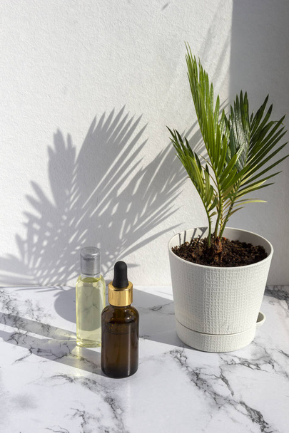 Cosmetische huidverzorgingsproducten op marmeren achtergrond met Palm bladeren schaduw. Glazen fles natuurlijke olie, modern concept van biologische schoonheid trend huidverzorging - Foto, afbeelding