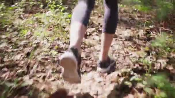 Бігуни ноги в спортивному взутті бігають на лісі
 - Кадри, відео