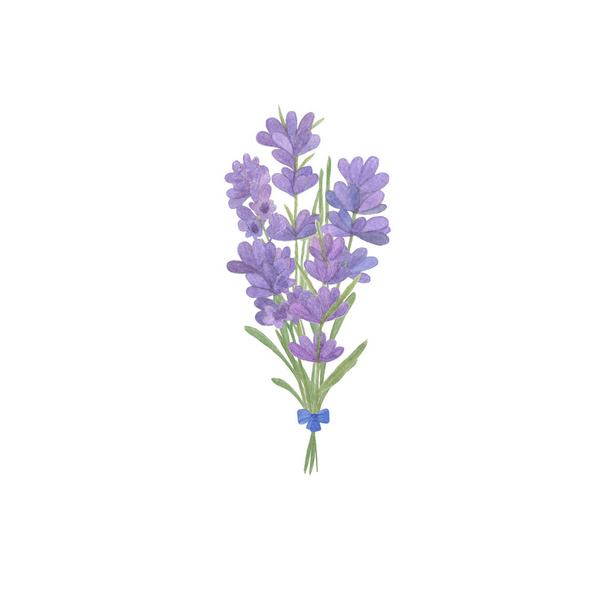 Lavender flowers bouquet on the white background - Photo, Image