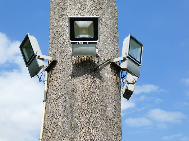 Scheinwerfer für Gleisbeleuchtung am Stamm eines großen Baumes im öffentlichen Garten oder Park. - Foto, Bild