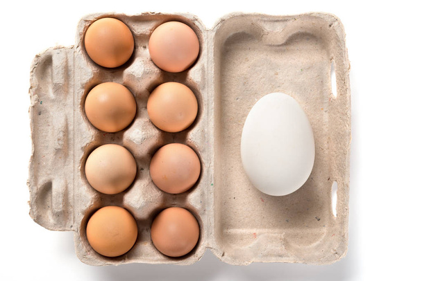 top view giant size goose egg and small chicken eggs in a package concept of size comparison - Photo, Image