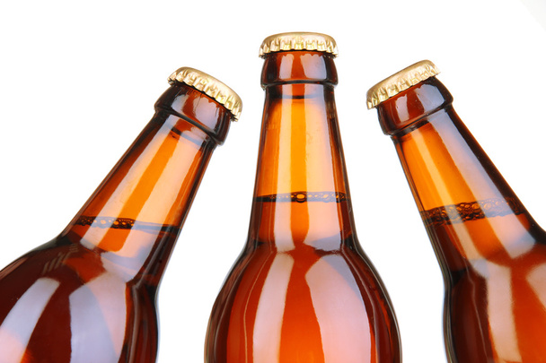 Beer bottles isolated on white - 写真・画像