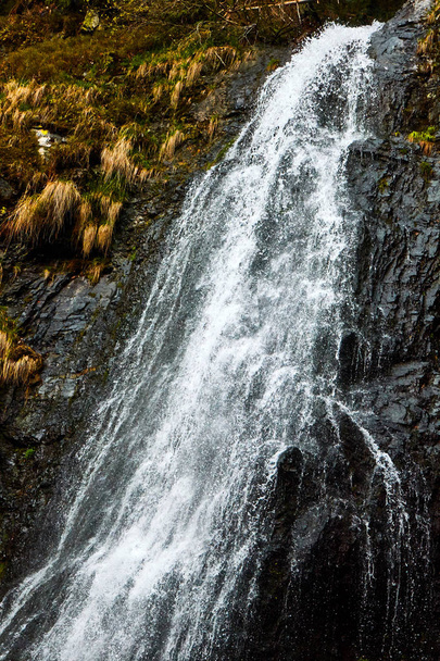високий гірський водоспад у лісі, Ялтинський гірський водоспад, Україна, Карпати - Фото, зображення