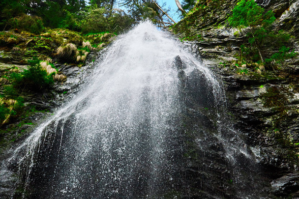 hoge berg waterval in het bos, Yalinsky berg waterval, Oekraïne, Karpaten - Foto, afbeelding