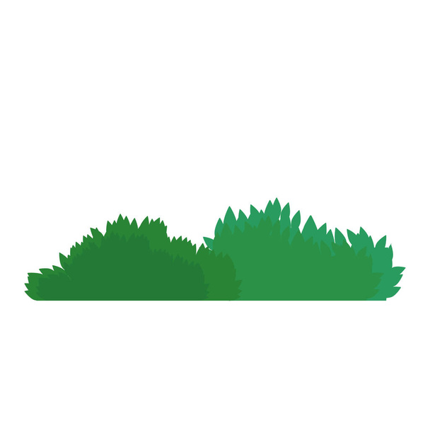 Bush verde símbolo isolado
 - Vetor, Imagem