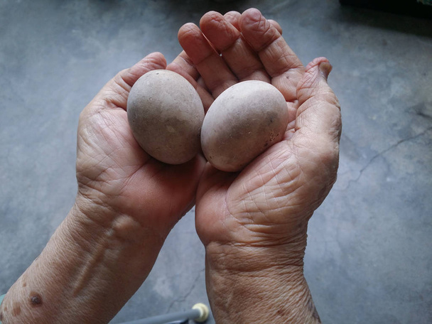 old hand holds 2 eggs - Photo, Image
