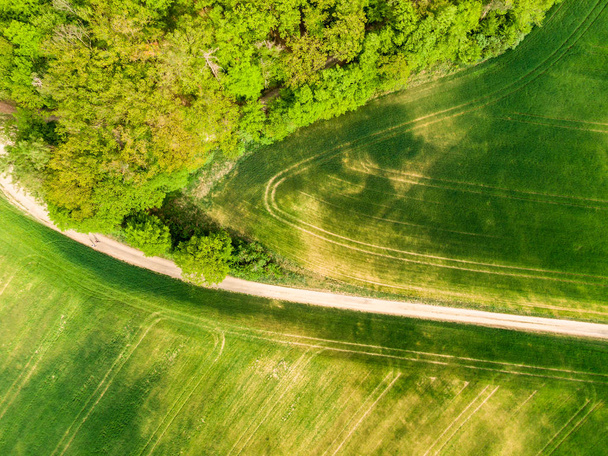 Aerial view of agriculture fields, meadow and road inside. Rural scene of countryside. Fresh green colors, look to above tree. Day on spring after rain - Foto, Bild