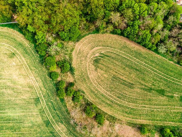Drohnenaufnahme von Feld, Bäumen und Wald in landwirtschaftlichen Flächen. Blick von oben auf Wiese in der Nähe von Dorf und Bauernhof. schöne grüne frische Ernte am Frühlingstag nach Regen - Foto, Bild