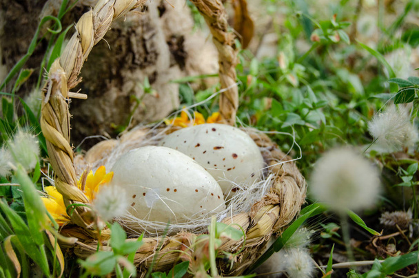 Мясная лапша с двумя куриными яйцами в грас с цветами - концепт Easter
 - Фото, изображение