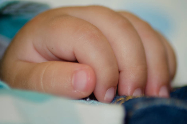 Close up of small hande of six months old baby macro - Valokuva, kuva