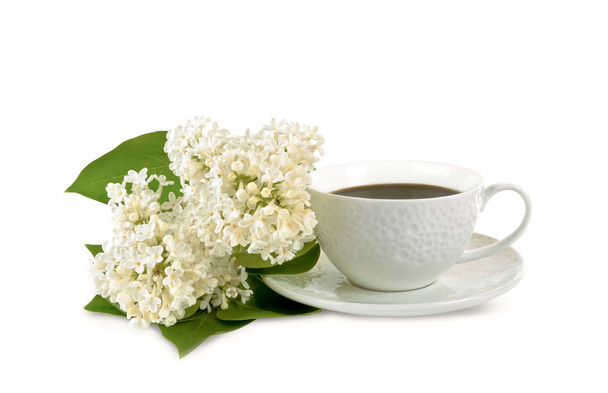 Mug of coffee and white flowers - 写真・画像