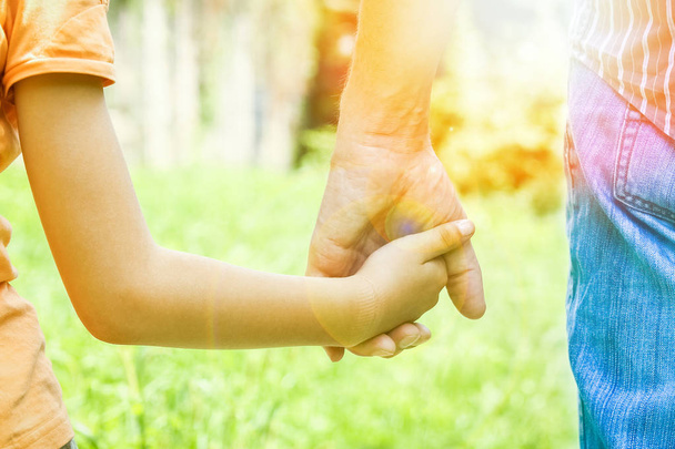 beautiful hands of a child and a parent in a park in nature - Photo, Image