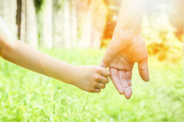 красиві руки дитини і батька в парку на природі
 - Фото, зображення