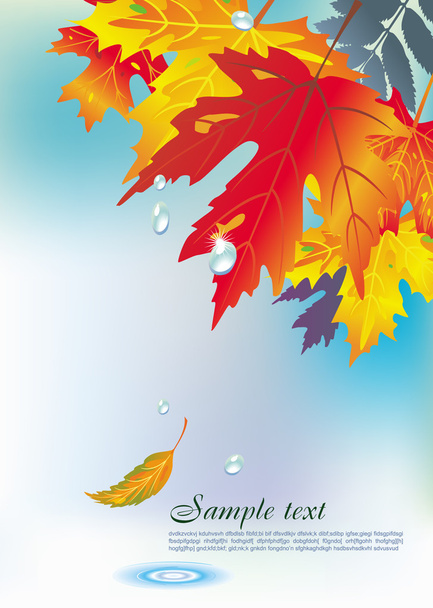 Background from autumn leaves - Vector, Image