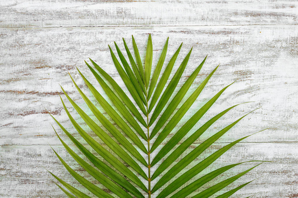 green palm leaves on a wood floor background - Foto, imagen