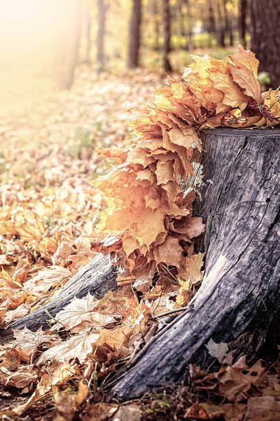 Folhas de bordo em corte de árvore. Conceito de fundo outono
 - Foto, Imagem