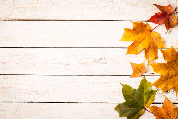 Hojas coloridas de otoño sobre fondo rústico blanco
.  - Foto, imagen