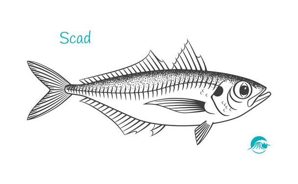 Scad hand-drawn illustration - Vector, Image