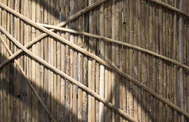 Sun light on Bamboo wall taexture - Photo, Image