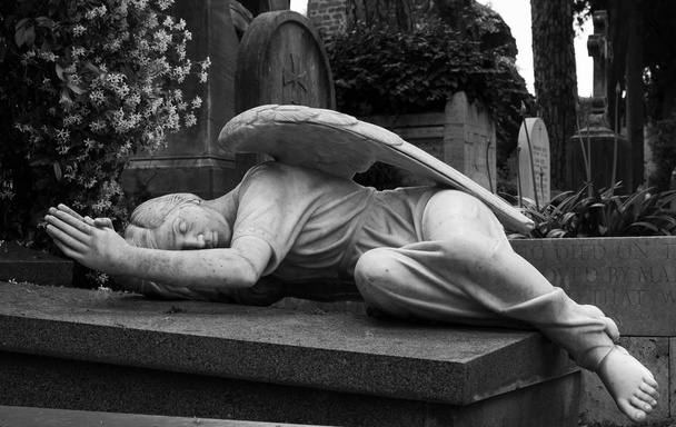 Statue d'un ange dans un cimetière
 - Photo, image