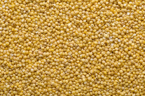 Golden millet, a gluten free grain seed, frame filling backgroun - Фото, зображення