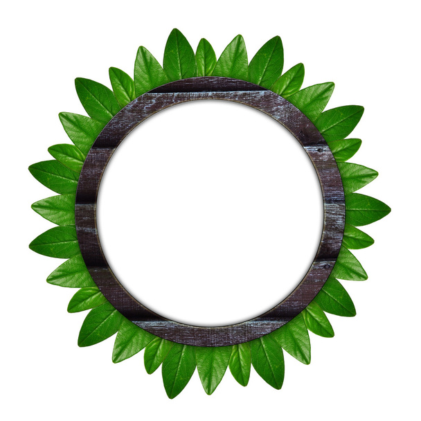 Circle frame of of green leaves - Valokuva, kuva