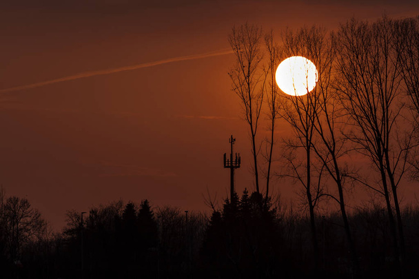 Coucher de soleil avec des arbres noirs dans le ciel - photo
 - Photo, image