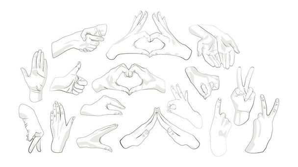 Σύνολο των χεριών σε διάφορες χειρονομίες - Διάνυσμα, εικόνα