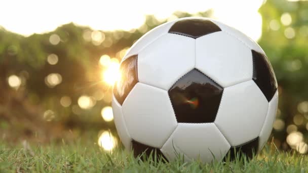 ποδόσφαιρο σε γρασίδι με χρυσό φως του ήλιου λάμπει και πράσινο φυσικό θολό φόντο - Πλάνα, βίντεο