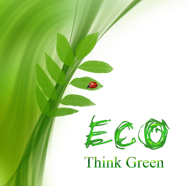 Tarjeta ecológica
 - Foto, Imagen