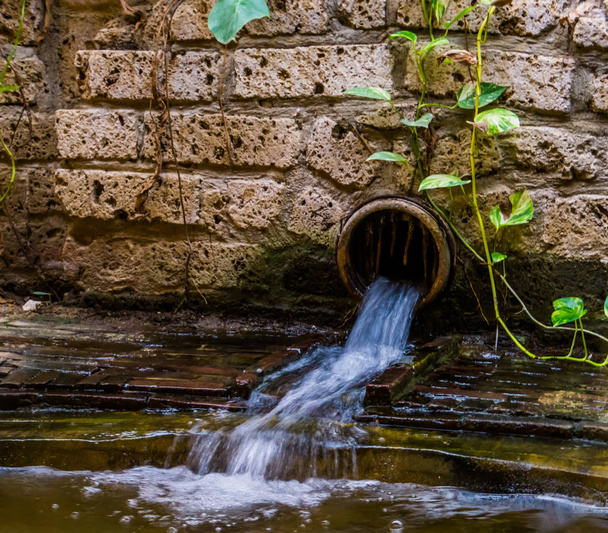 tubo di scarico dell'acqua con acqua corrente, decorazioni del giardino e architettura
 - Foto, immagini