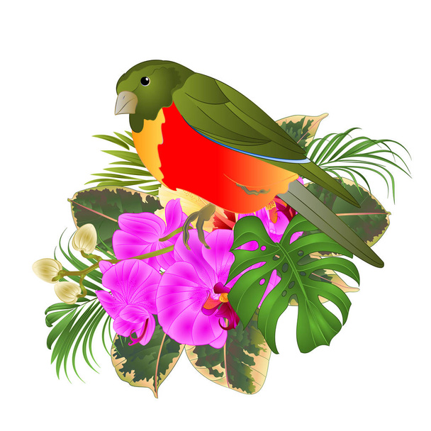 Tropikalny ptak z tropikalnym kwiatowym kwiatowym układem, z pięknym hibiskusem i orchideą, palmą, Philodendron i Ficus retro rysować rysunek ręka  - Wektor, obraz