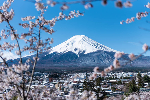 Mt.Fuji and city view with sakura forground - Photo, Image