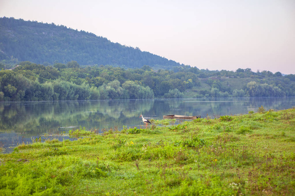 idyllische natuur met Stork aan de oever van de rivier - Foto, afbeelding