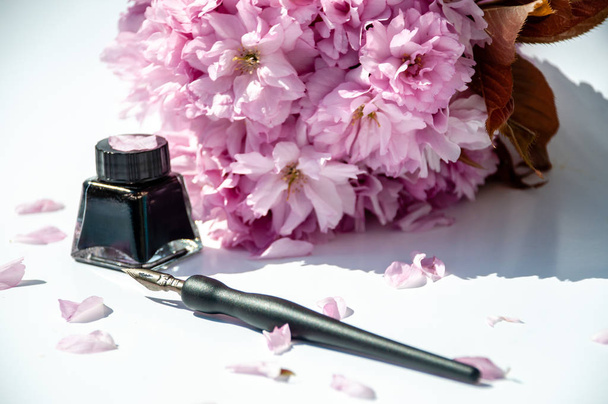 白い背景に古いインクペンとインクボトル。ヴィンテージ書道ペンとインクのボトル。黒インクの桜の小枝 - 写真・画像