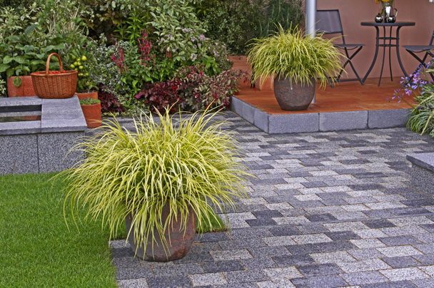 Containers of Carex grasses on a patio in a contemporary garden  - Photo, Image