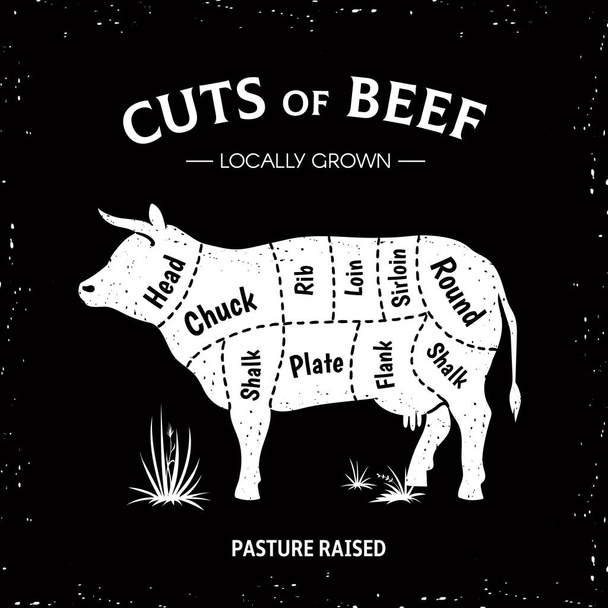 ブッチャー牛のポスター。白牛図、牛のシルエットヴィンテージロゴ、レストランメニュービーフカットテンプレート。ベクトル肉屋牛図 - ベクター画像