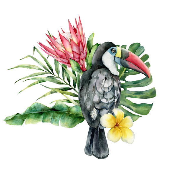Watercolor card with toucan and flowers bouquet. Hand painted bird, protea and plumeria isolated on white background. Nature botanical illustration for design, print. Realistic delicate plant. - Photo, Image