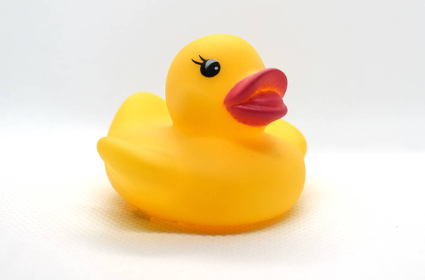 Žlutá gumová kachna pro plavání  - Fotografie, Obrázek
