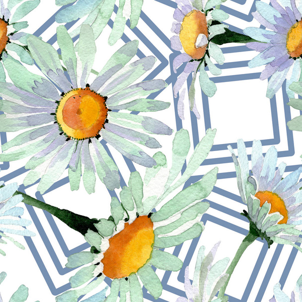Grandes flores botânicas florais de camomila branca. Conjunto de ilustração de fundo aquarela. Padrão de fundo sem costura
. - Foto, Imagem