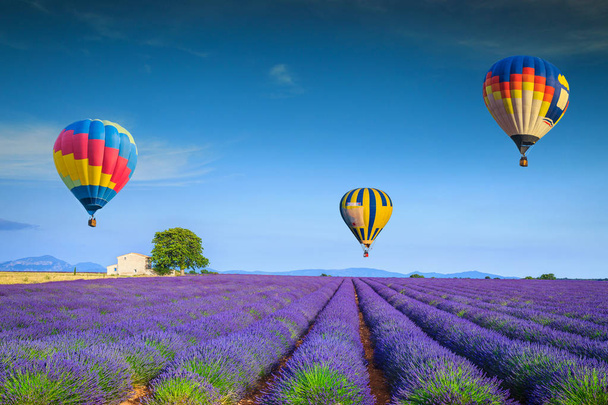 Campos de lavanda violeta admirável e balões de ar quente coloridos, França
 - Foto, Imagem